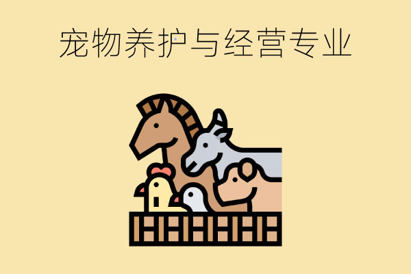 6828dd90d798bd22099a4dd5ddfb90bb_702275fe76dfc1c9127318261cff9e78.jpg